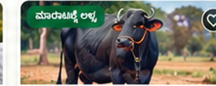 ಎಮ್ಮೆಯ ಮಾದರಿ ಚಿತ್ರ