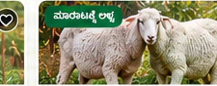 ಕುರಿಗಳ ಮಾದರಿ ಚಿತ್ರ